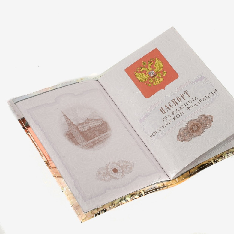 Обложка для паспорта 02-006-018-21 "Мост со сфинксами"