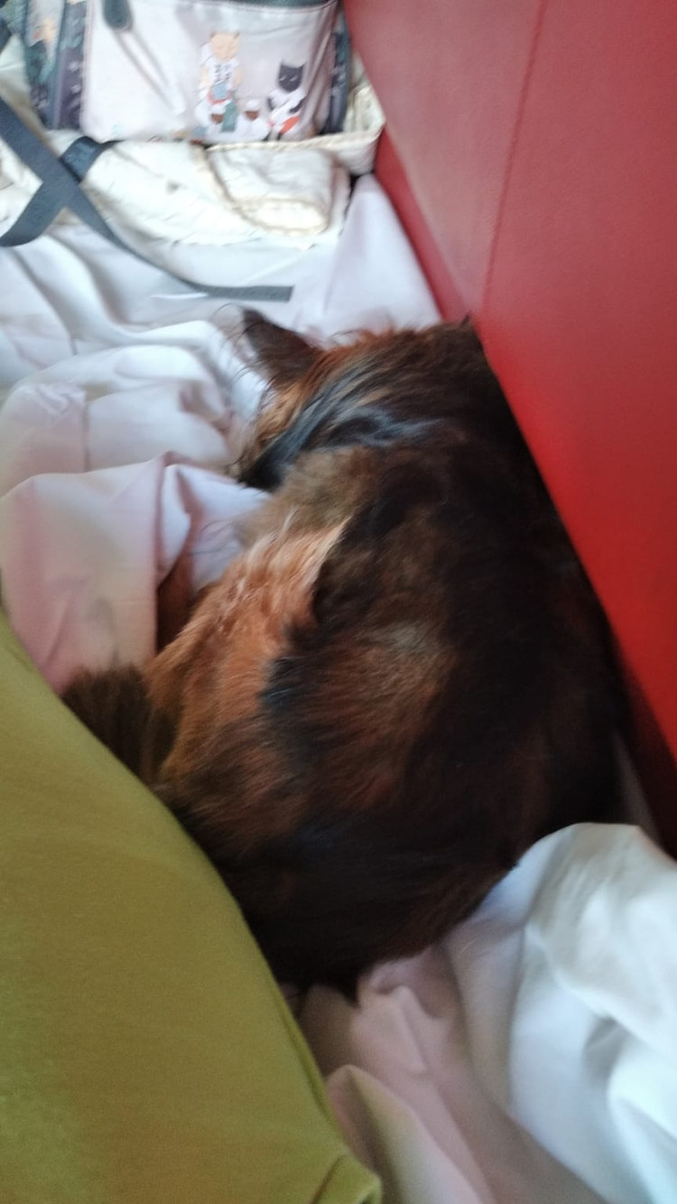 Спасибо за комфорт.
